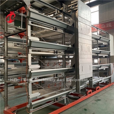 Thiết bị lồng gà tự động loại H hiện đại Tuổi thọ 20 năm Ada
