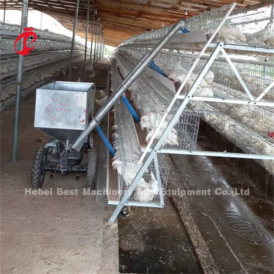 Chuồng nuôi gà đẻ trứng tự động trong trang trại gia cầm Xe cho gà ăn tự động 220V Ada