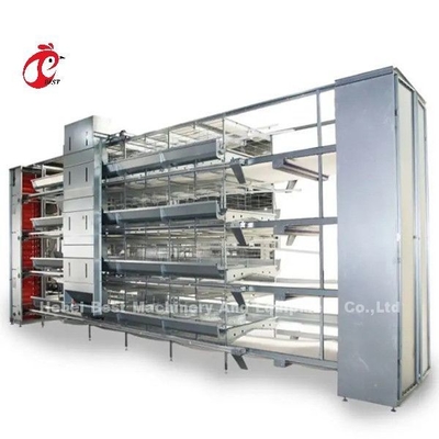 Thiết bị lồng gà tự động hiện đại loại H cho 25000 trang trại chim Emily