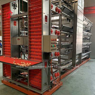 Thiết bị lồng gà tự động hiện đại loại H cho 25000 trang trại chim Emily