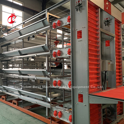Tuổi thọ 25 năm Thiết bị lồng gà tự động loại H dành cho gà thịt gà con Ngôi sao gà con