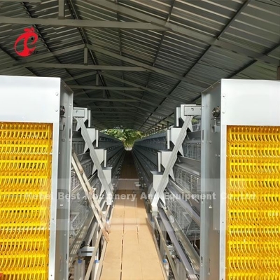 Hộp gà tự động Hệ thống cho ăn tự động được sử dụng trong trang trại gà gia cầm Mia