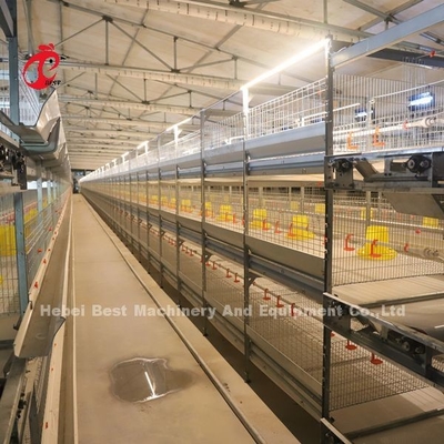 Thực tế 380V Chick Brooder Cage For Day Old Layer Grower Chicks In Africa Farm Iris