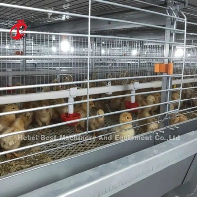 Tốt nhất Galvanized tự động H loại gà trang trại hệ thống lồng gà Adela