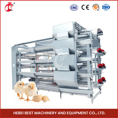 Tùy chỉnh 120 con chim Hệ thống lồng ấp gia cầm tự động cho gà con Sandy