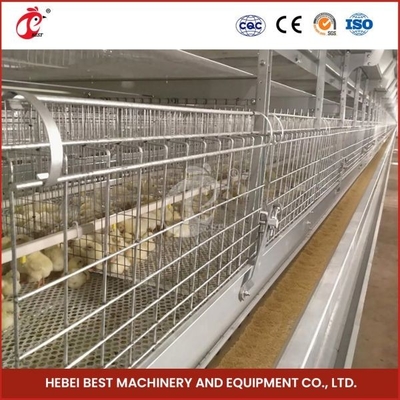 Tuổi thọ cao Chuồng gia cầm hiện đại Loại H tự động Chuồng gà mái tơ ngày xưa Công suất cao Adela