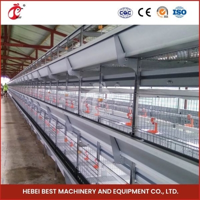 Ngày Già Thiết Bị Lồng Ấp Gà Con 208 Chim Tỷ Lệ Sống Cao Hơn Ada