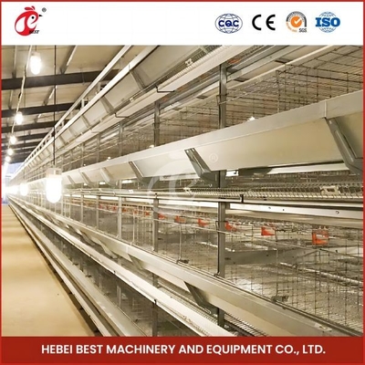 Chuồng gà con tự động mạ kẽm nóng Chuồng nuôi gà con 192 con Mia dài 1,2m