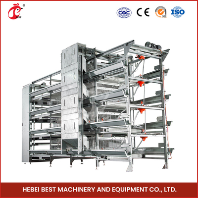 ISO14001 được chứng nhận Hệ thống lồng gà gà thịt tự động 25 năm tuổi thọ dài Star