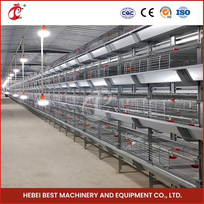 Hệ thống lồng gà ấp trứng hoàn toàn tự động loại A H Q235 Steel Rustproof Star