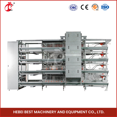 ISO14001 được chứng nhận Hệ thống lồng gà gà thịt tự động 25 năm tuổi thọ dài Star