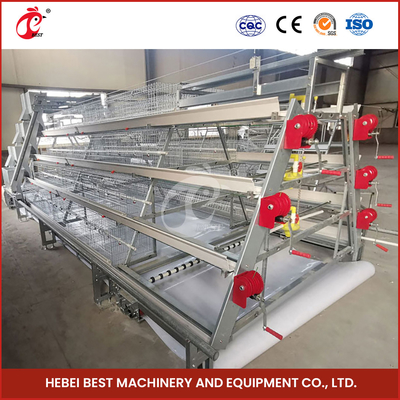 ISO14001 được chứng nhận Hệ thống lồng gà gà thịt tự động 25 năm tuổi thọ dài Star
