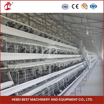 Khu vực 432cm2 Hộp tổ chim với 6 tầng và hoa hồng bền