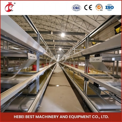 Lồng gà thịt tự động có độ chính xác cao H Lồng gà thịt gia cầm loại Hoa hồng
