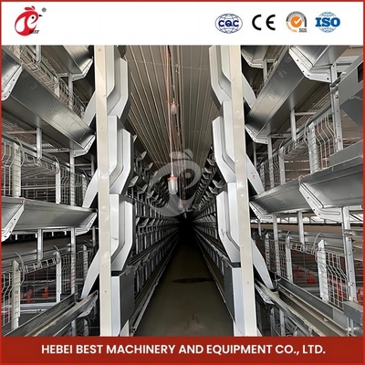 Lồng gà thịt tự động có độ chính xác cao H Lồng gà thịt gia cầm loại Hoa hồng