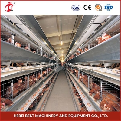 Sản phẩm có giá trị cao nhất trong thị trường