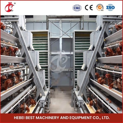 Sản phẩm có giá trị cao nhất trong thị trường