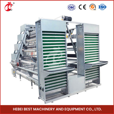 Một loại thiết bị lồng gà hoàn toàn tự động cho trang trại gia cầm công suất 20.000 Sandy
