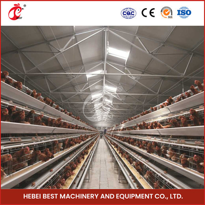 Một loại thiết bị lồng gà hoàn toàn tự động cho trang trại gia cầm công suất 20.000 Sandy