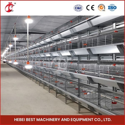 H Type Layer And Broiler Pin tự động Thiết bị lồng gà Thiết kế nhà Ada