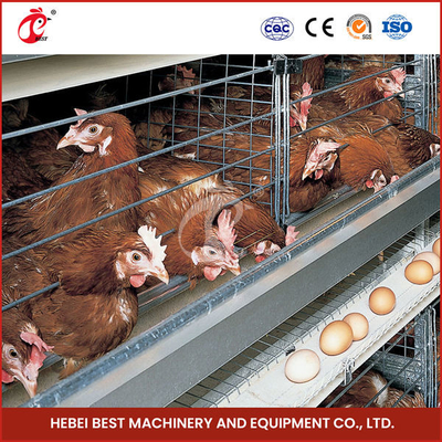 3/4/5/6 Tiers Thiết bị lồng pin gà tự động Loại H cho Layer Farm Emily