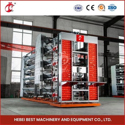 Trang Trại Gia Cầm Thiết Kế Gà Đẻ Gia Cầm Pin Tự Động Chuồng 144 Con Bán Mía