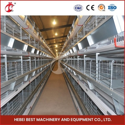 Trang Trại Gia Cầm Thiết Kế Gà Đẻ Gia Cầm Pin Tự Động Chuồng 144 Con Bán Mía