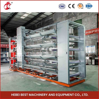 Dự án chìa khóa trao tay Thiết bị lồng lớp tự động loại H cho 50000 ngôi sao trang trại chim