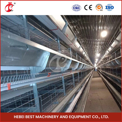 Máy bay pin tự động Lớp trứng Chicken Cage Thiết bị trang trại gia súc gia cầm Giấy đẻ gà hoa hồng
