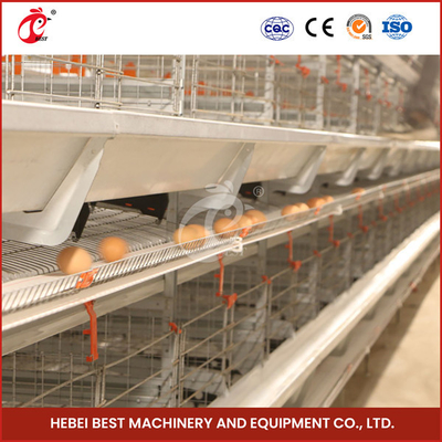 Máy bay pin tự động Lớp trứng Chicken Cage Thiết bị trang trại gia súc gia cầm Giấy đẻ gà hoa hồng