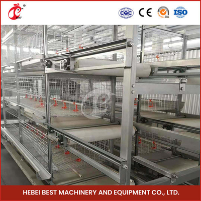 Chuồng nuôi gà con tự động Pin nuôi gà con Chuồng nuôi gà con ngày tuổi