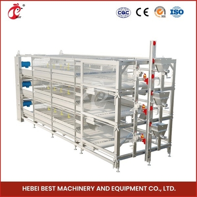Thiết bị chăn nuôi gia cầm bằng thép Q235 Loại H Chuồng úm úm tự động Mia
