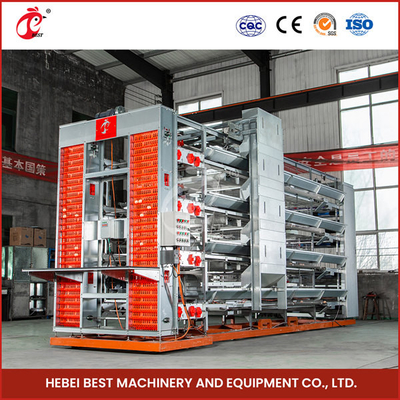 Hệ thống tự động gia cầm gà pin lồng H khung Emily