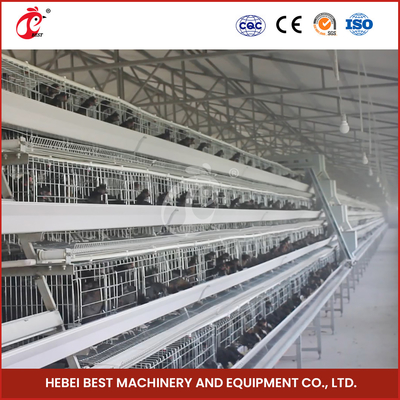 Gia cầm Q235 Lồng gà dây thép có phụ kiện uống tự động Sandy
