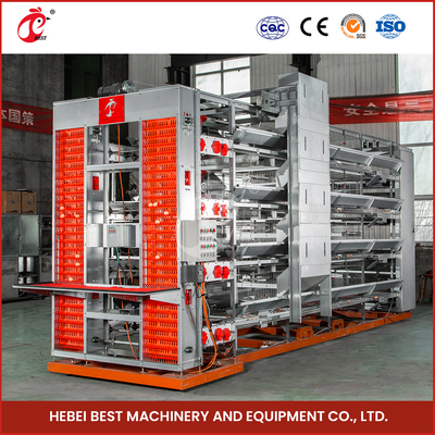 Hệ thống lồng lớp gia cầm hiệu quả loại H với máy cho ăn tự động và máy uống ngực bằng nhựa