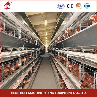 H Loại 30000 Chim Lồng gà đẻ trứng tự động với băng tải phân Ada