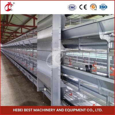 Hệ thống chuồng gia cầm Hdg tự động màu bạc để chăn nuôi gà Mia