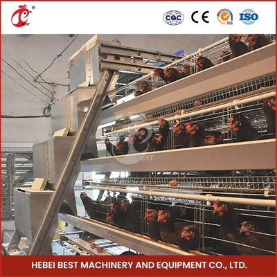 Hệ thống chuồng gia cầm Hdg tự động màu bạc để chăn nuôi gà Mia