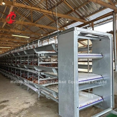 Lồng pin gà 160 lớp tự động cho trang trại gia cầm Emily