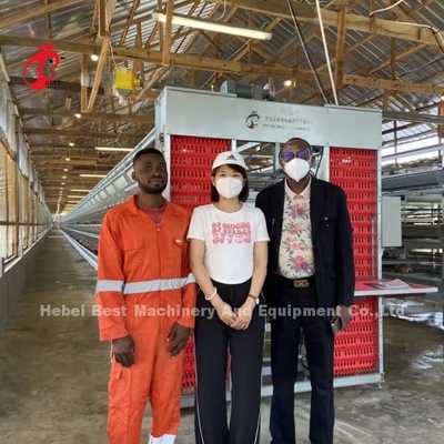 110kg Capacity gà lớp lồng với máy uống ngực tự động cho nhà gia cầm Doris