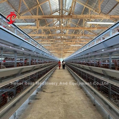 Lồng pin gà 160 lớp tự động cho trang trại gia cầm Emily