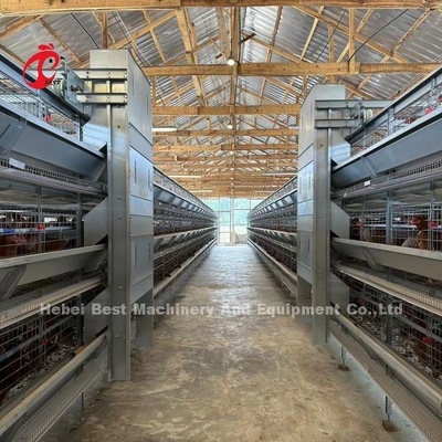 110kg Capacity gà lớp lồng với máy uống ngực tự động cho nhà gia cầm Doris