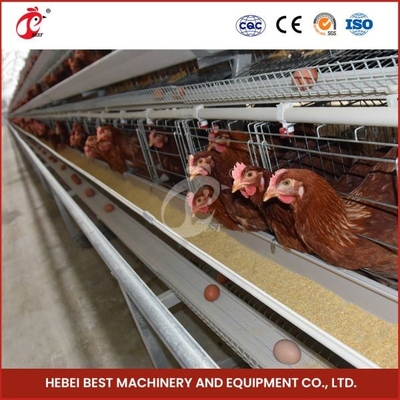 Lồng nuôi gia cầm 120 lớp Lồng mạ kẽm nóng sâu và mạ kẽm lạnh