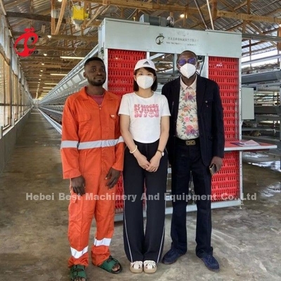 Hộp gà kiểu H tự động đầy đủ cho 500 đến 50000 con gà ở nông trại châu Phi Doris