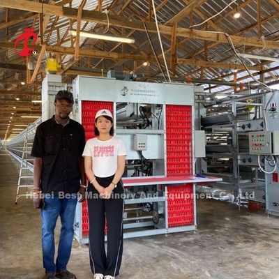 Hot Galvanized Q235 Steel Chicken Battery Cage cho Nigeria Ghana Cameroon Căn nuôi gà Doris