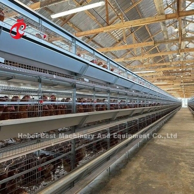 120-200 gà Capacity Lớp hệ thống lồng pin cho 500 đến 50000 trang trại gà Doris