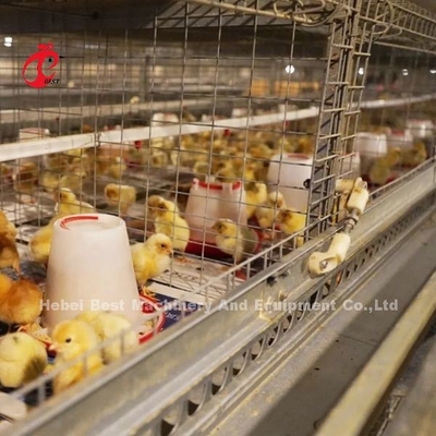 Dọn dẹp thủ công tự động Chick Brooder chuồng loại H kim loại cho gà Adela