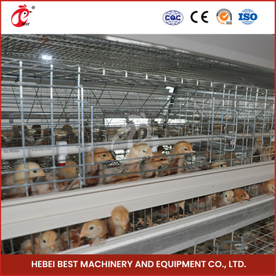 Silver Hot Galvanized Broiler Chicken Cage Để nuôi gà Adela