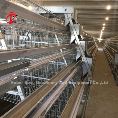 3 Lớp 45 ngày Chicken Cage rất bền Iris