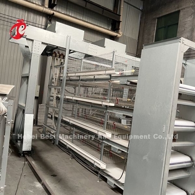 3 Lớp 45 ngày Chicken Cage rất bền Iris